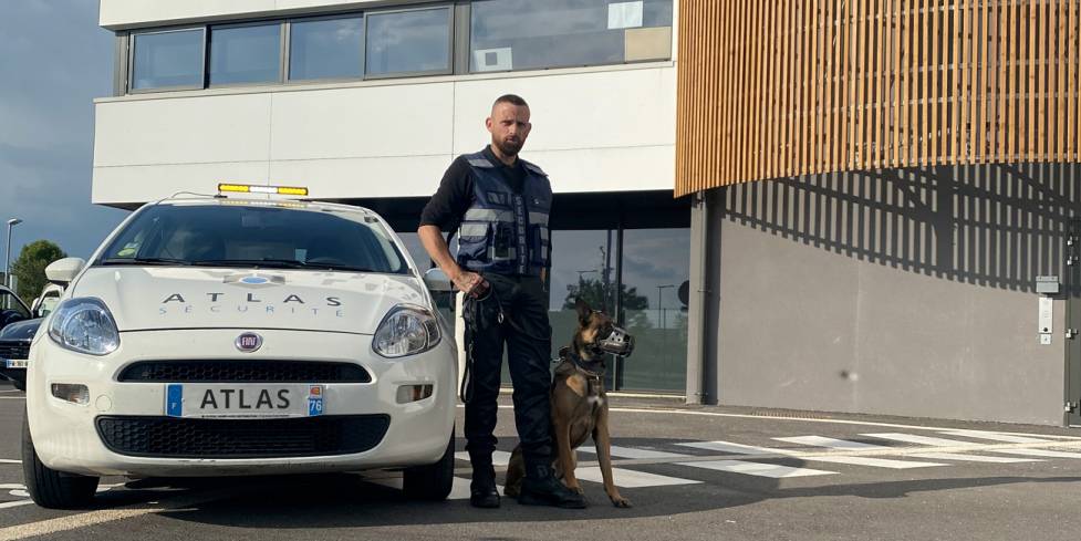 Agent de Sécurité Cynophile